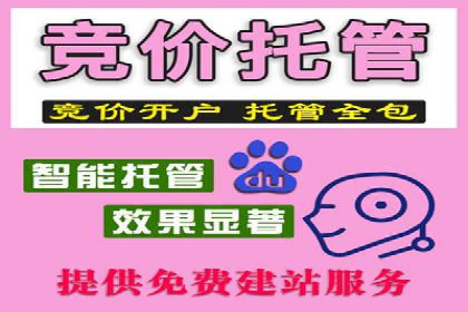 案例分析：托管SEM竞价助力电商旺季促销